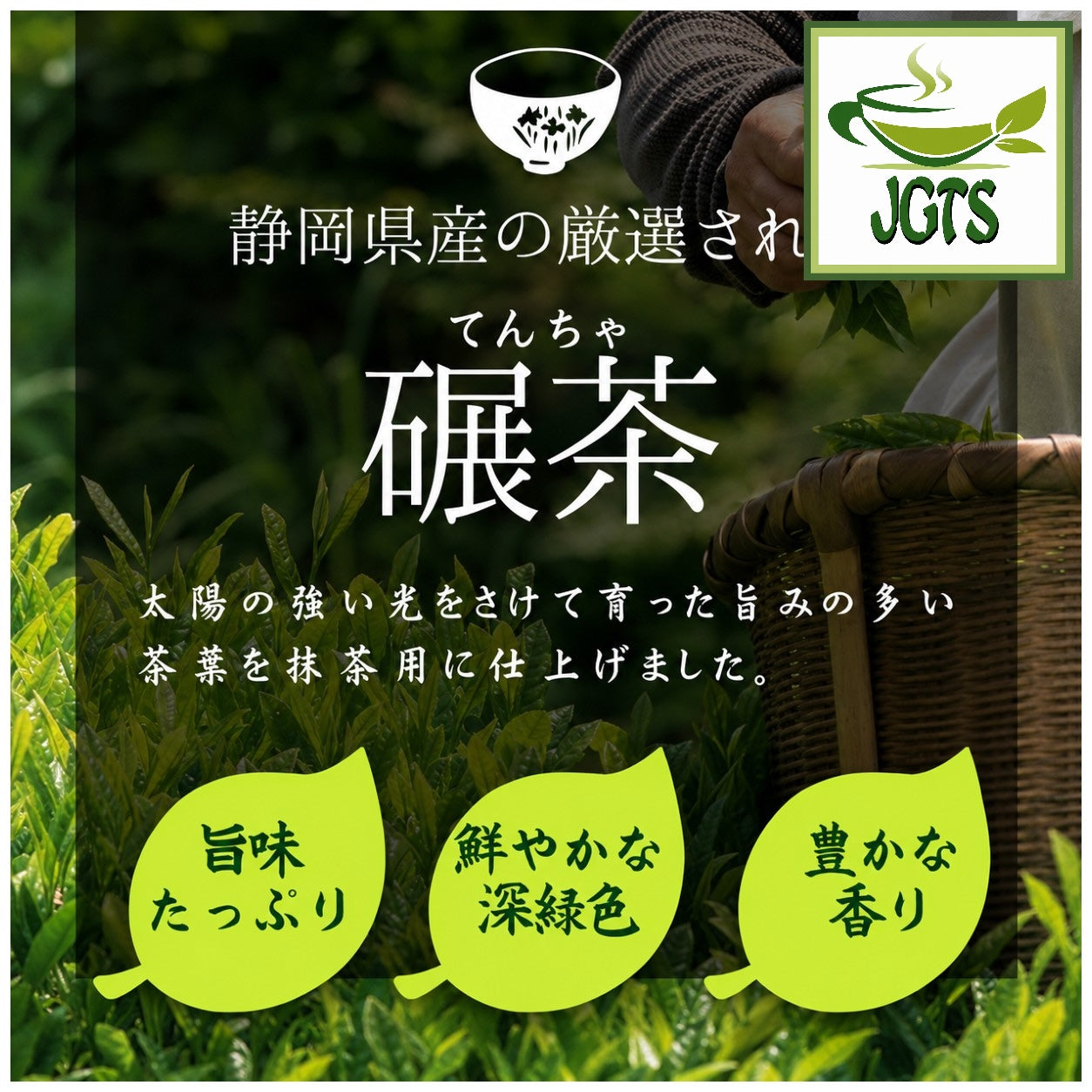 Oigawa - Shizuoka Matcha - Made from Shizuoka Tencha
