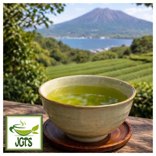Organic Kagoshima Sencha Green Tea – Japanese Green Tea Shops