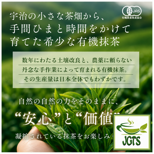 Organic Kyoto Uji (Ichibancha) Matcha - 100% JAS certified Uji Matcha 