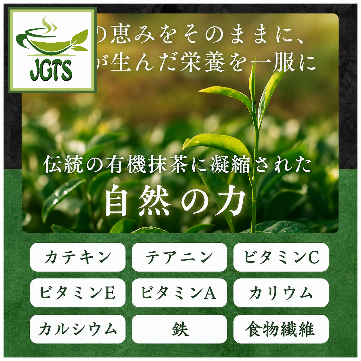 Organic Kyoto Uji (Ichibancha) Matcha - For a healthy lifestyle 