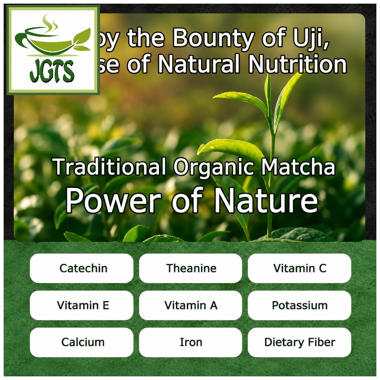 Organic Kyoto Uji (Ichibancha) Matcha - For a healthy lifestyle (Eng) 