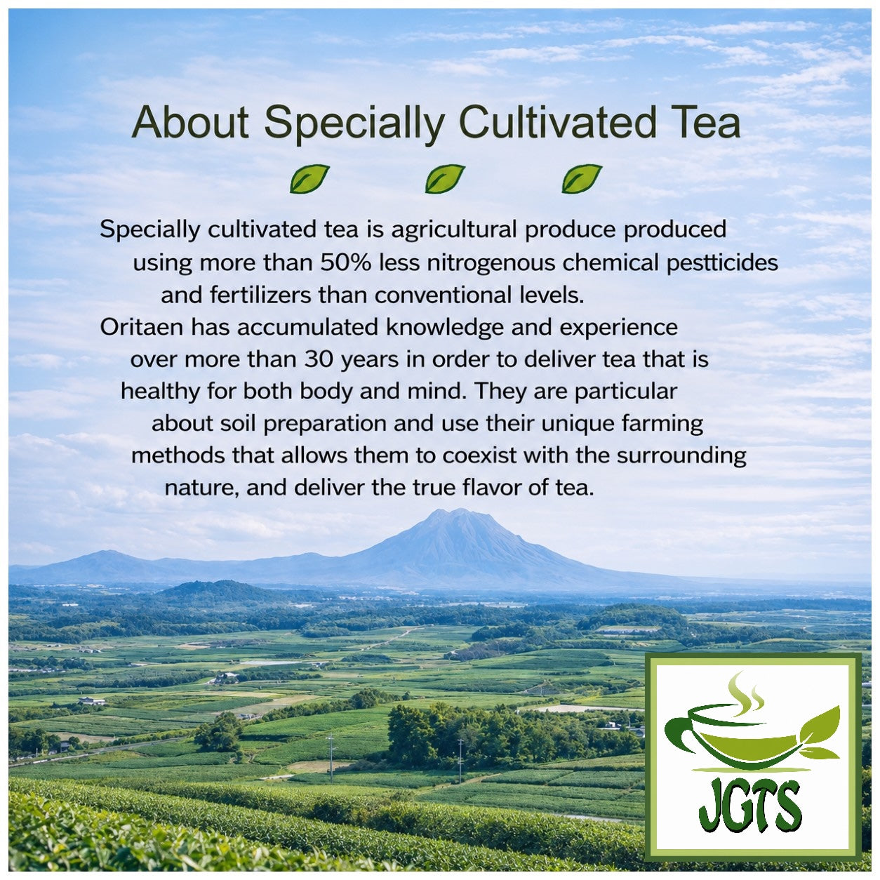 (Oritaen) - Specially Cultivated Chiran Matcha Powder - About Specially Cultivated Matcha