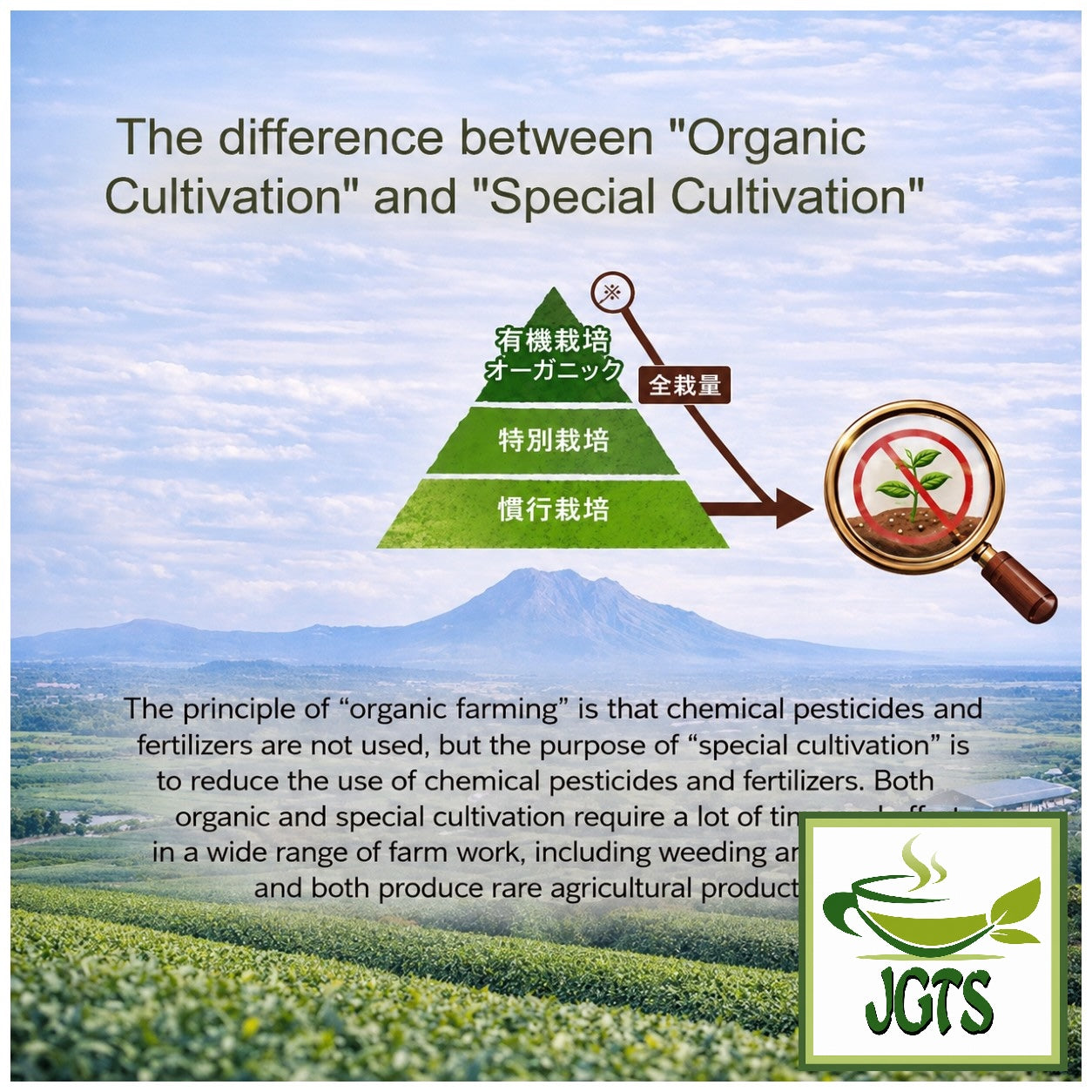 (Oritaen) Specially Cultivated Chiran Matcha Powder - Organic and Specially Cultivated tea