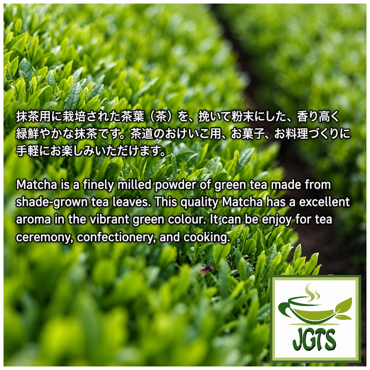 (Riwaen) Japanese Matcha - shade grown slow grinding matcha 