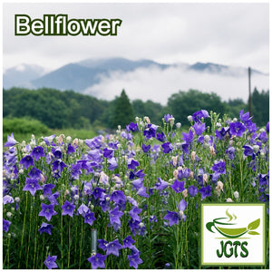 (Ryukakusan) - Throat Refreshing Lozenges - Bellflower field