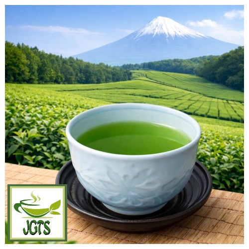 Shizuoka Powdered Green Tea (100 grams) – Japanese Green Tea Shops