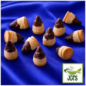 Takenoko no Sato Chez Shibata Yuzu-scented Hazelnut Praline - Meiji Product photograph
