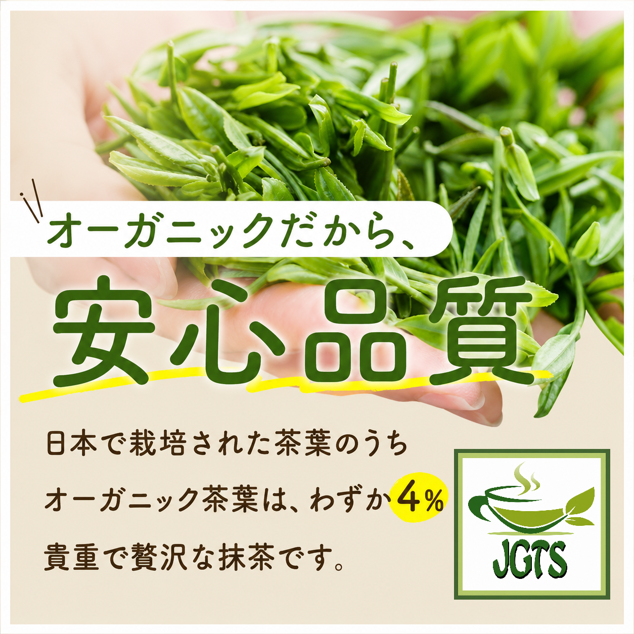 YAMAEI Organic JAPANESE Matcha - Only 4% of Japan tea is organic 