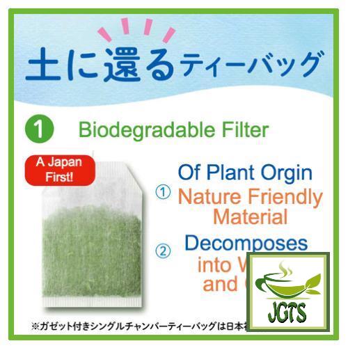 ITO EN Oi Ocha Green Tea Bags 22 Pack - Biodegradable Tea Ba
