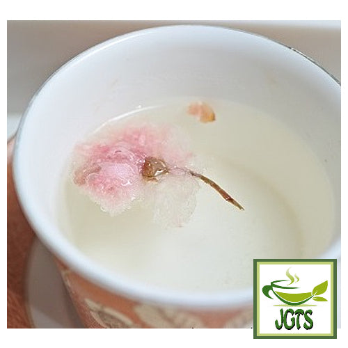 Ujien Sakura Tea (3 Pack) - Cherry blossom in cup